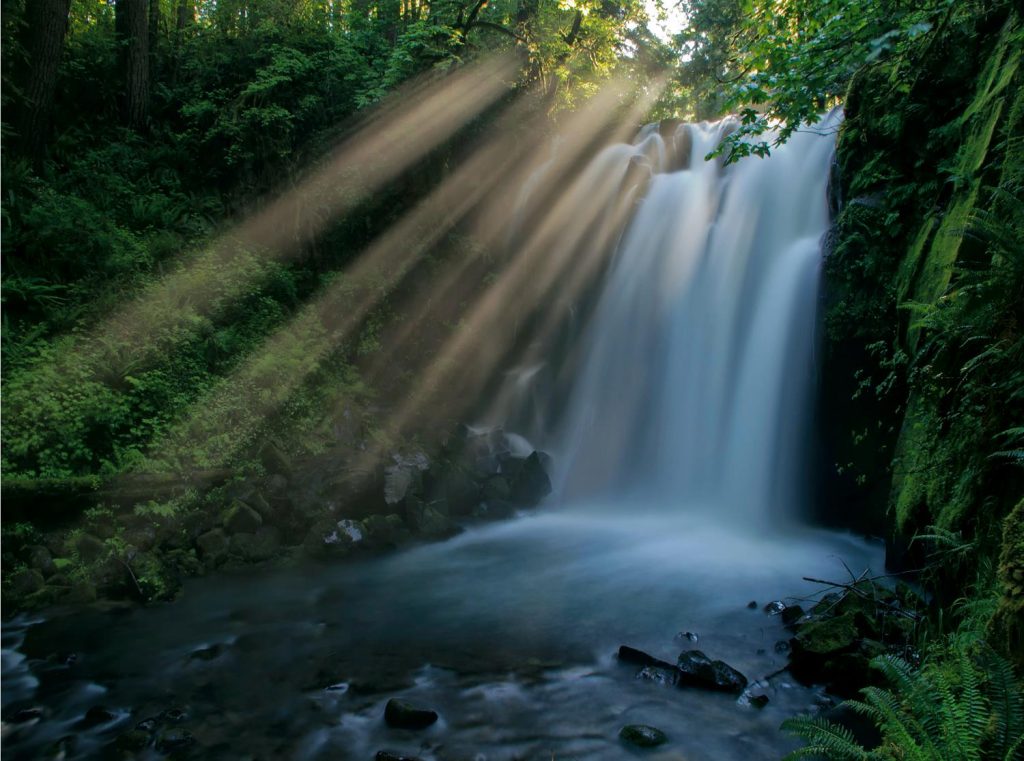 Gary Thurman - Majestic Falls from McDowell Creek