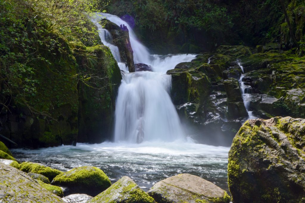 melissa rosin - sweet creek falls
