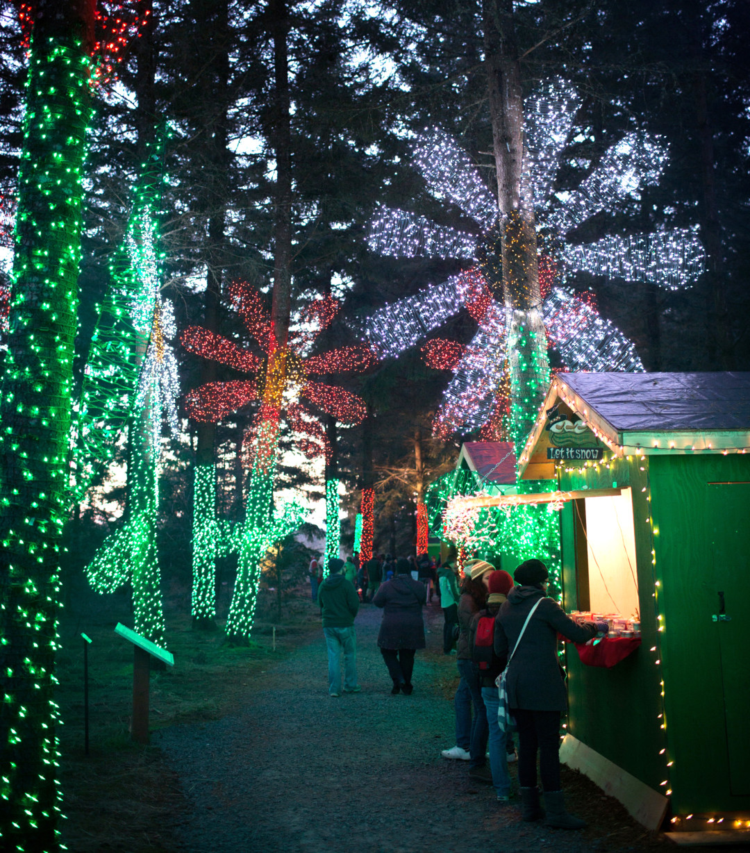 Here Are the Best 13 Places in Oregon to See Christmas Lights That