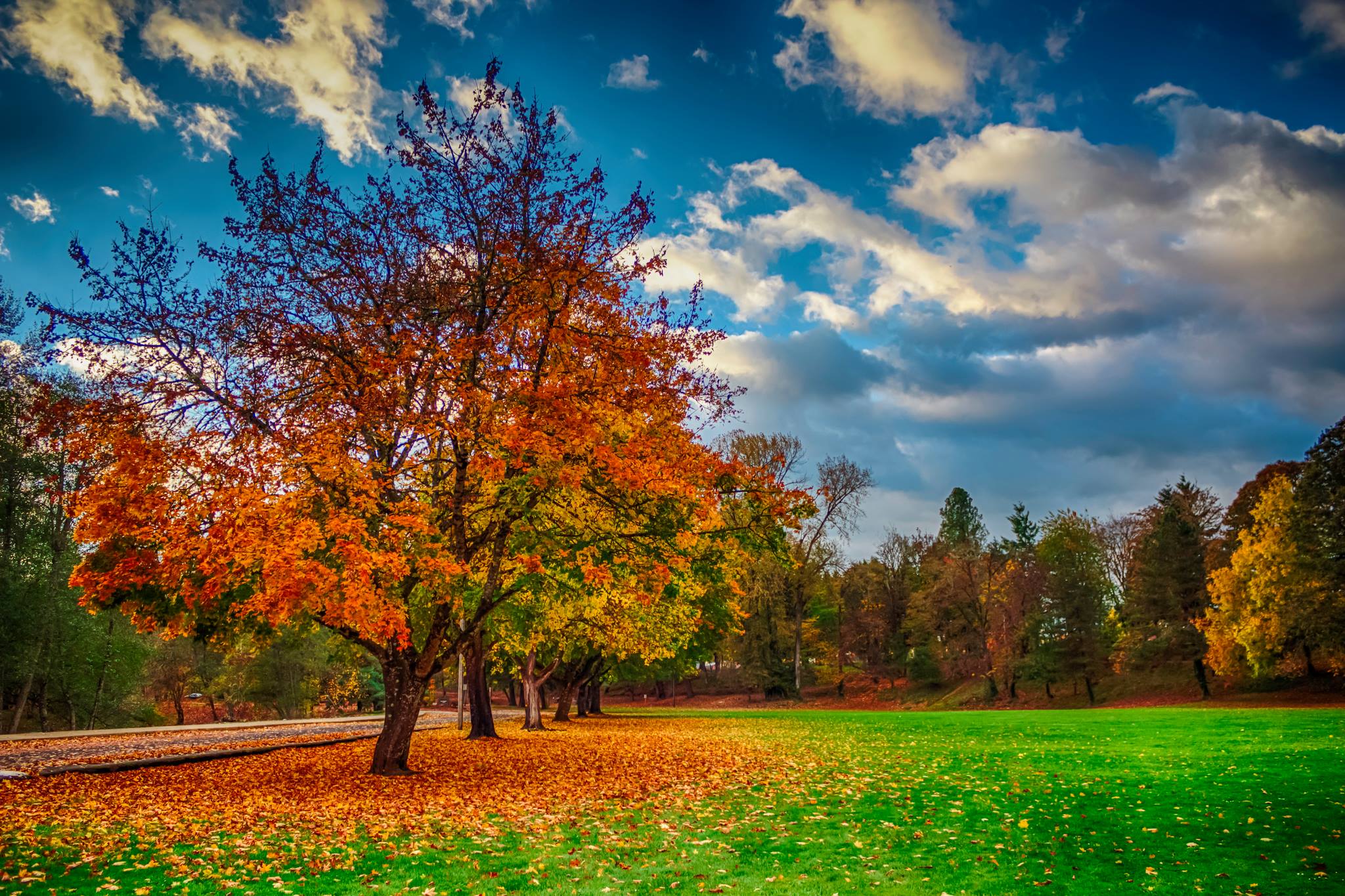 20 Stunning Photos Of Oregon's Fall Foliage That Oregon Life