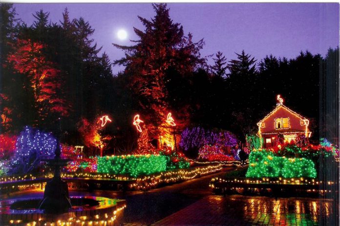 The Ultimate Oregon Coast Christmas Light Tour is Happening Now  That Oregon Life