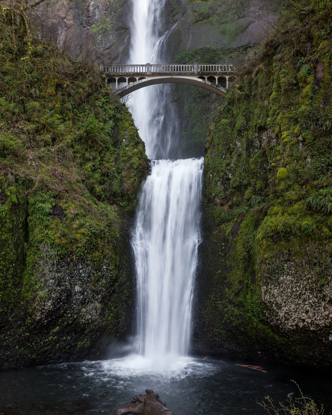 Multnomah Falls framed by mossy cliffs