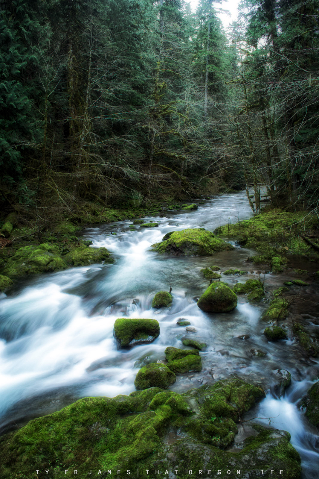 Getaway to Bagby Hot Springs in Oregon