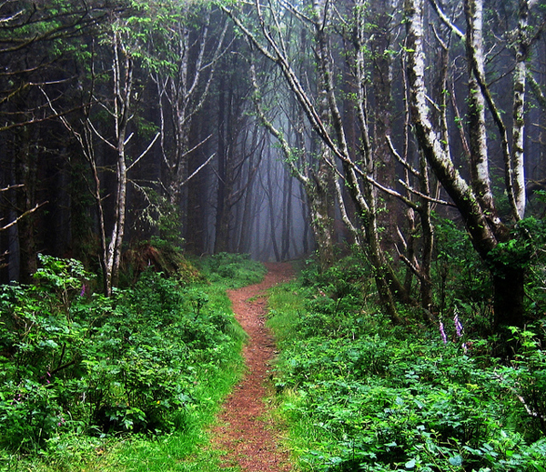 Best Hikes in Oregon