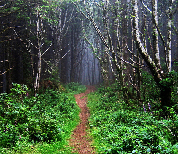 rainy hikes