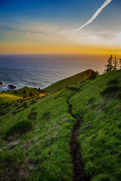 Hike Cascade Head Oregon Coast