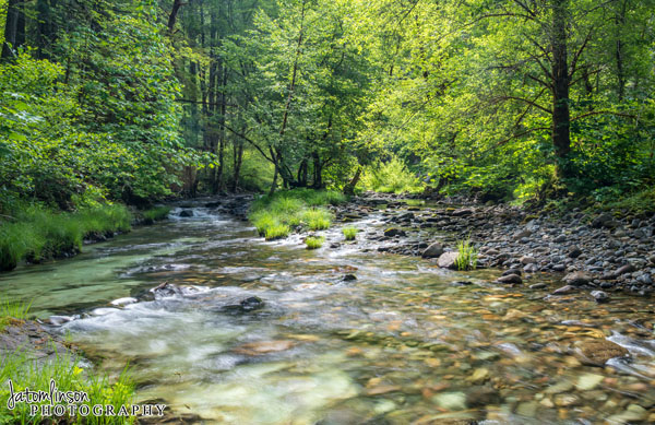 Umpqua River at Horsehose Bend Campground. Copyright Jessica Tomlinson of JATomlinson Photography