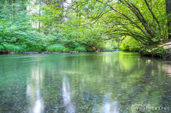 Union Creek. Copyright Jessica Tomlinson of JATomlinson Photography 