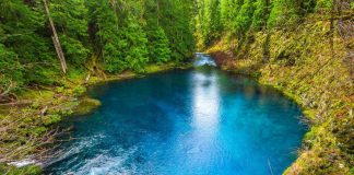 Tamolitch Blue Pool Oregon