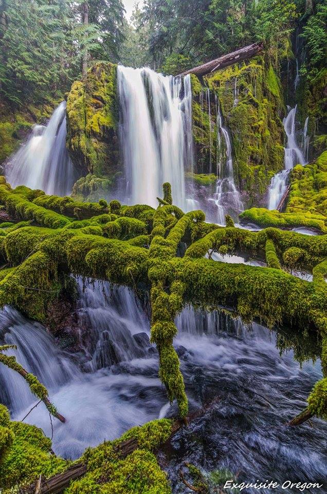 waterfalls in oregon