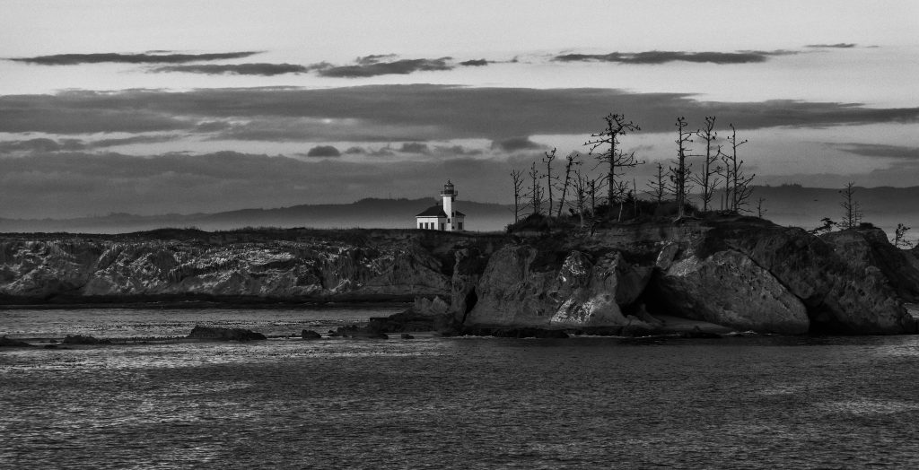 cape arago light