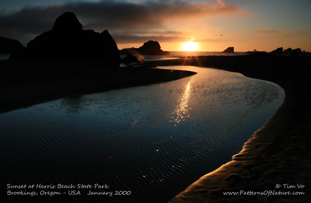 Harris Beach State Park