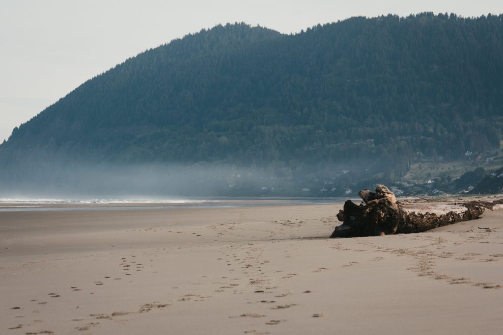 Nehalem Bay State Park