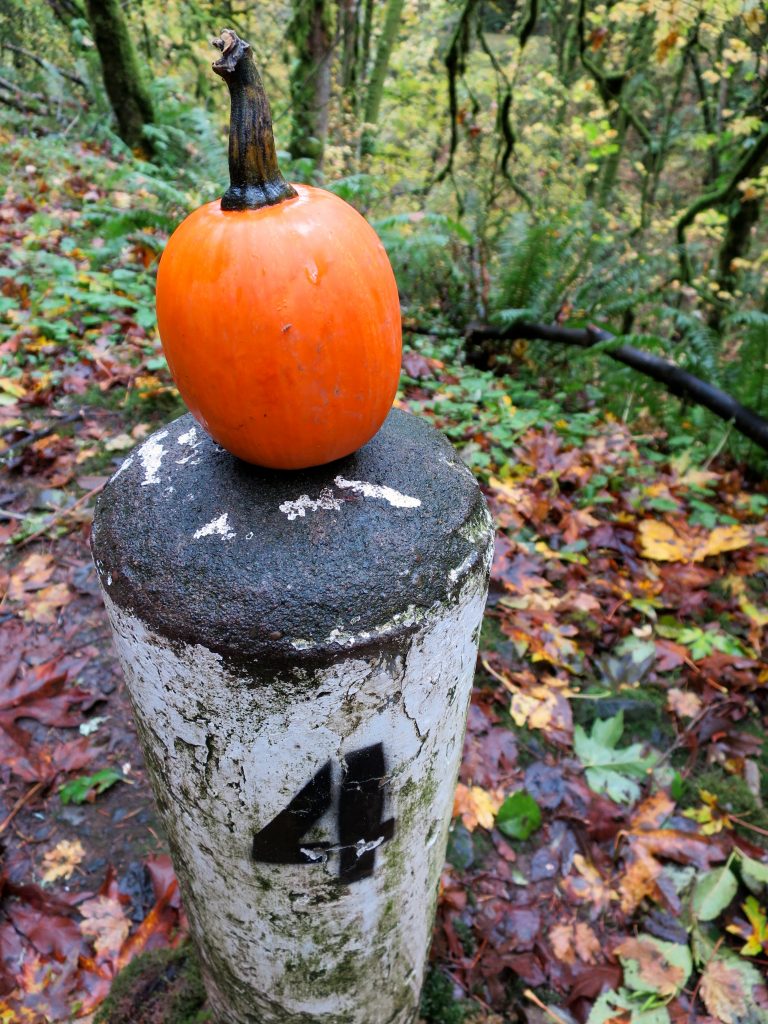 Someone had even decorated many of the mile markers (they religiously point out every quarter mile) with mini pumpkins. It couldn’t possibly have gotten any more fall-like;)