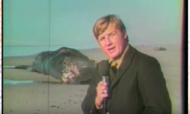 A whale exploded in Oregon in 1970, and the story will blow your mind