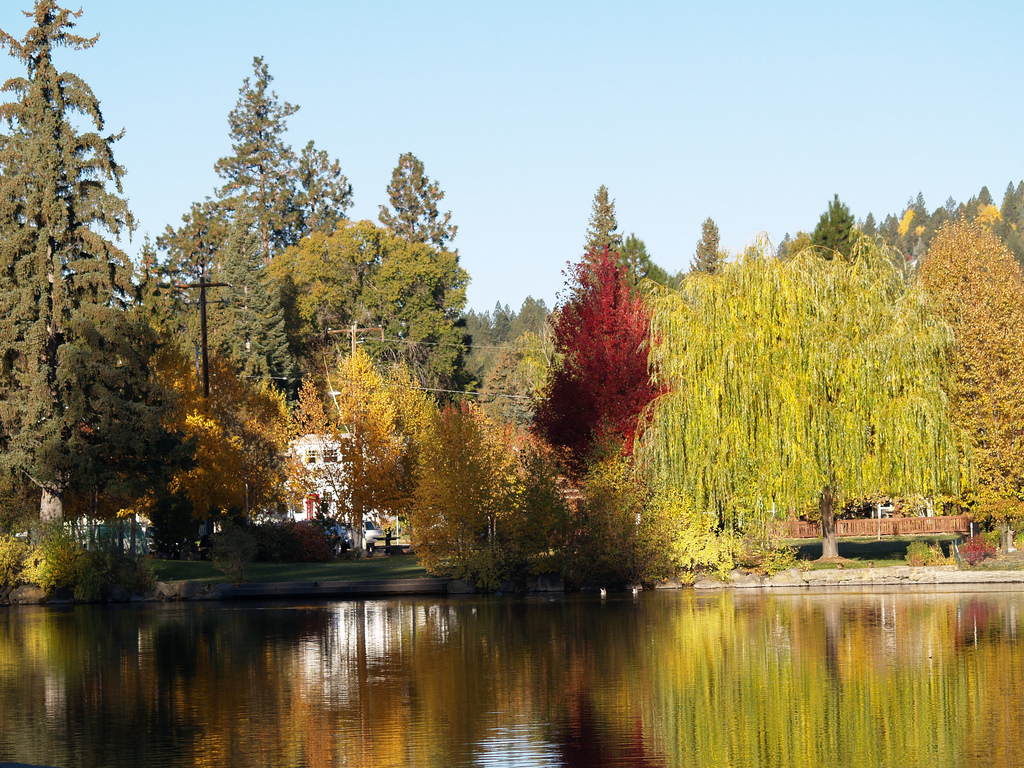 mirror pond