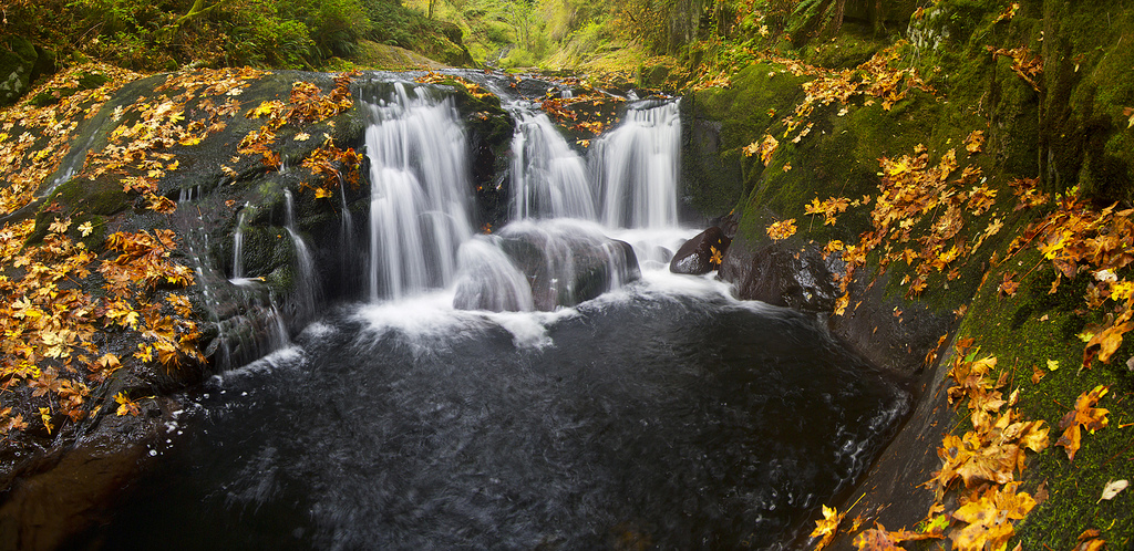 Sweet Creek Falls courtesy of David Putzier