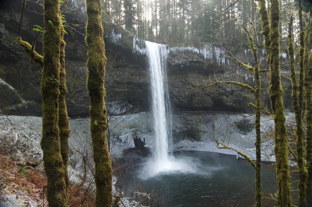 Silver Falls State Park in winter.