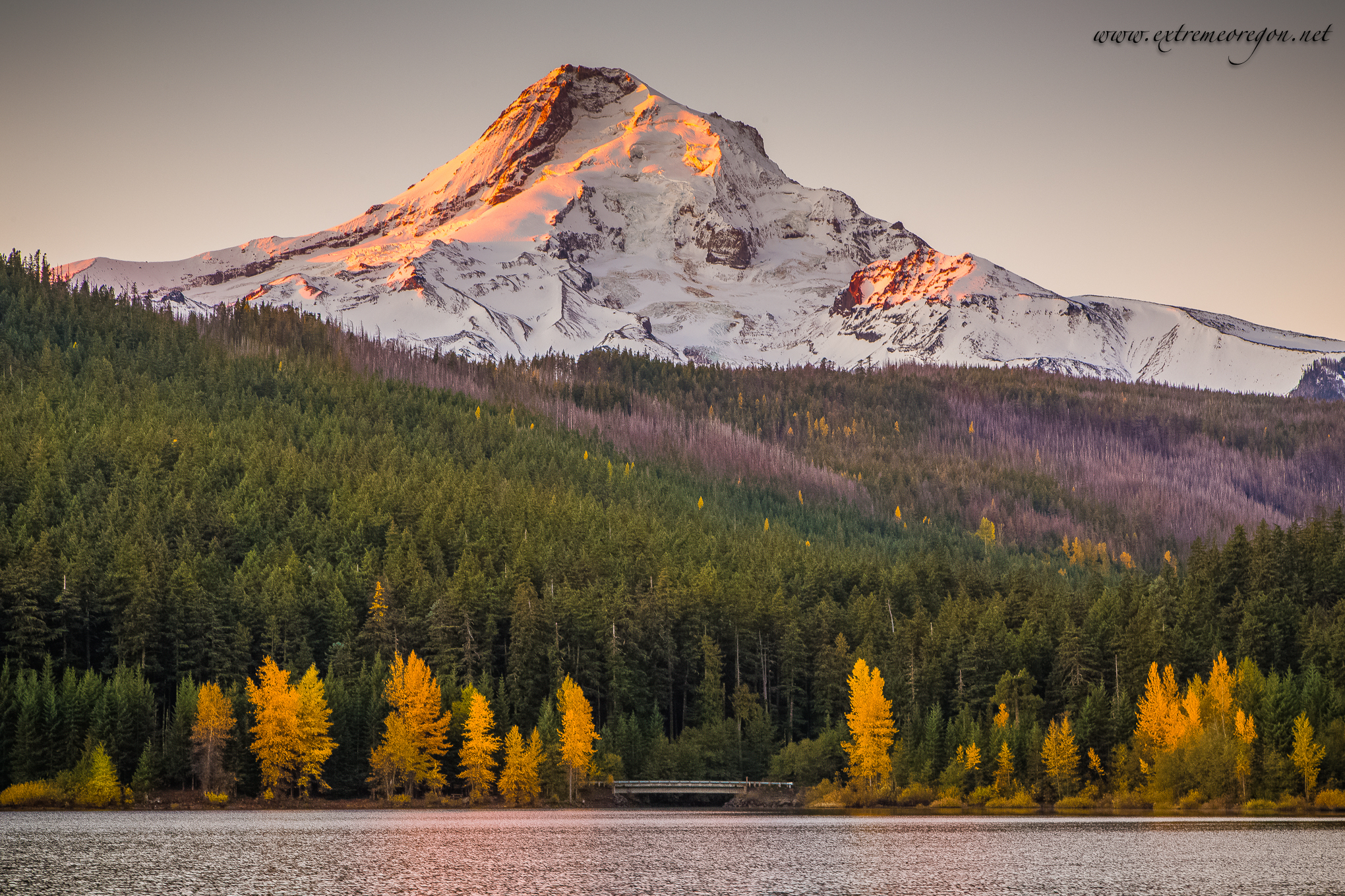 best places to visit in Oregon. A gorgeous view of Mt Hood over a lake.