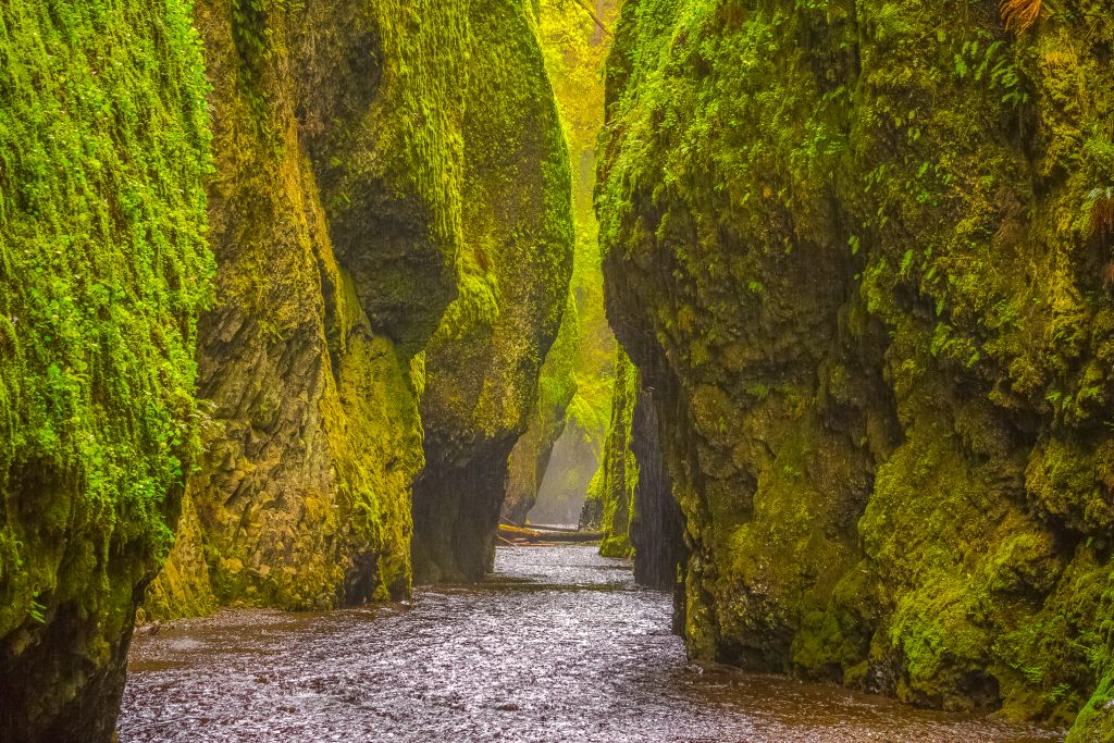 the-top-ten-best-places-to-visit-in-oregon