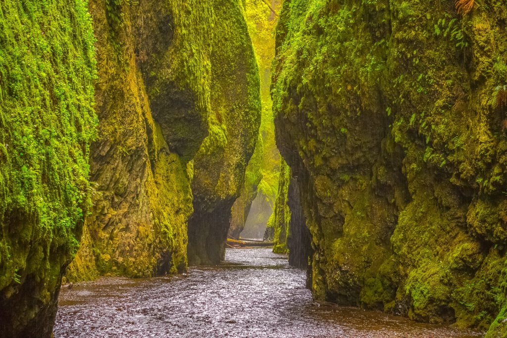 Here s The Top Ten Best Places To Visit In Oregon That Oregon Life