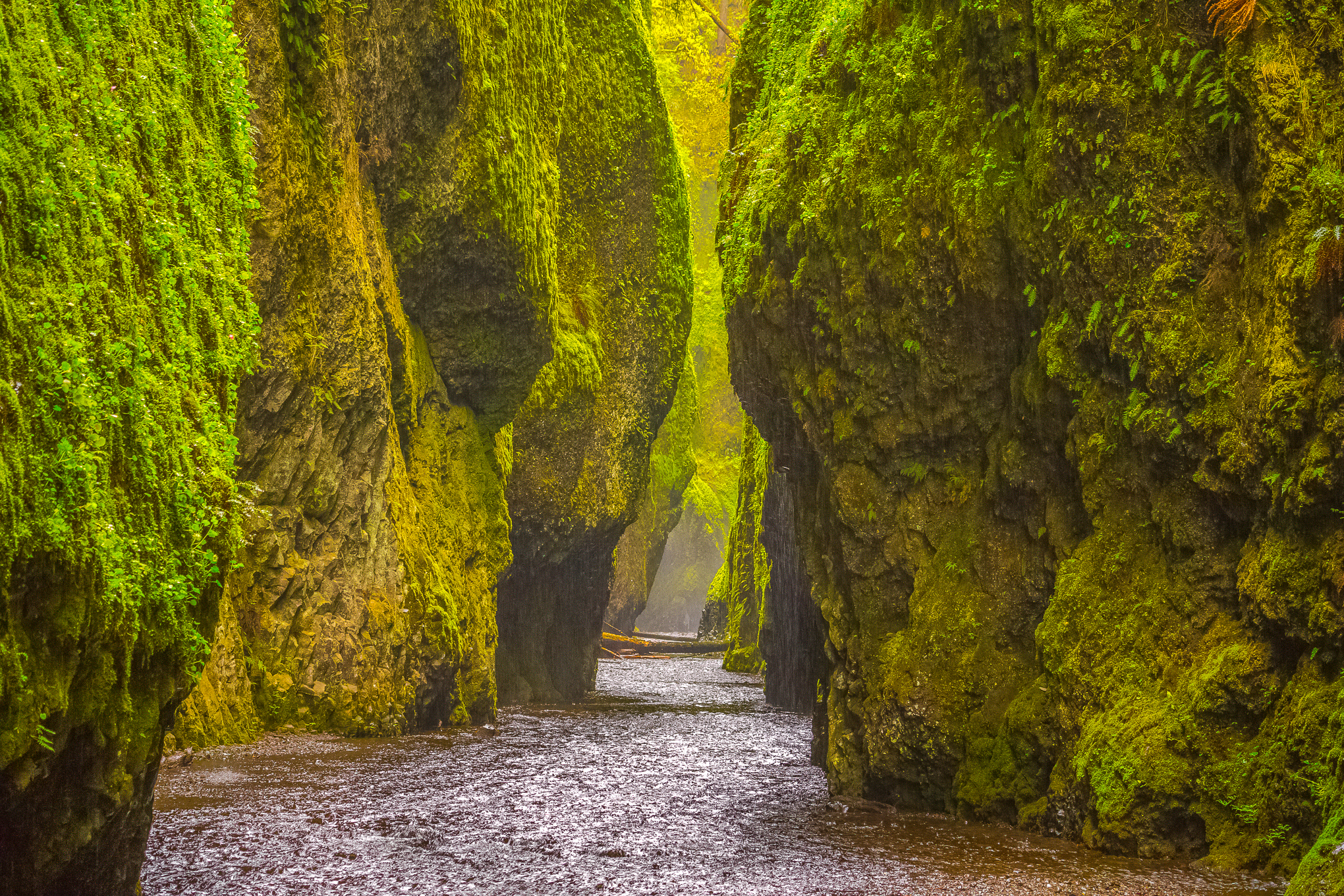 Oneonta Gorge Extreme Oregon