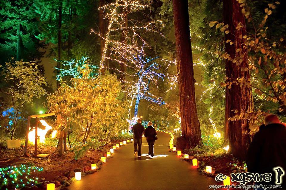 Free Christmas Events Southern Oregon 2022 9 Best Places In Oregon To See Christmas Lights In 2021