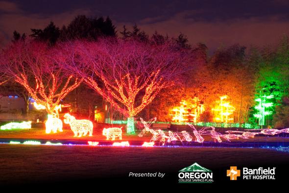 9 Best Places in Oregon to See Christmas Lights in 2021