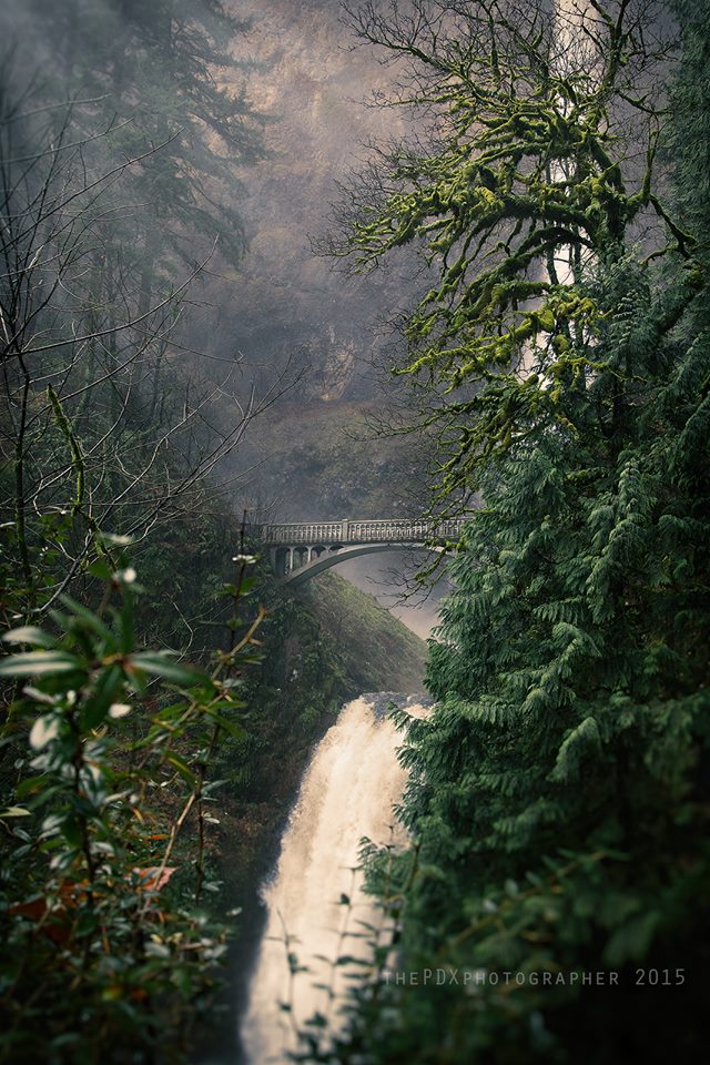 multnomah falls