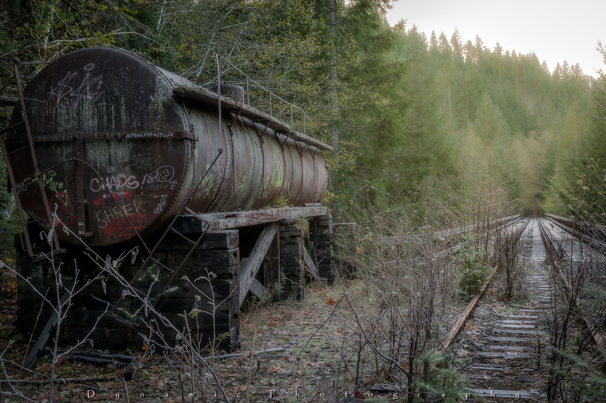 salmonberry trail