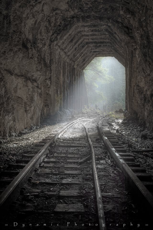 salmonberry trail