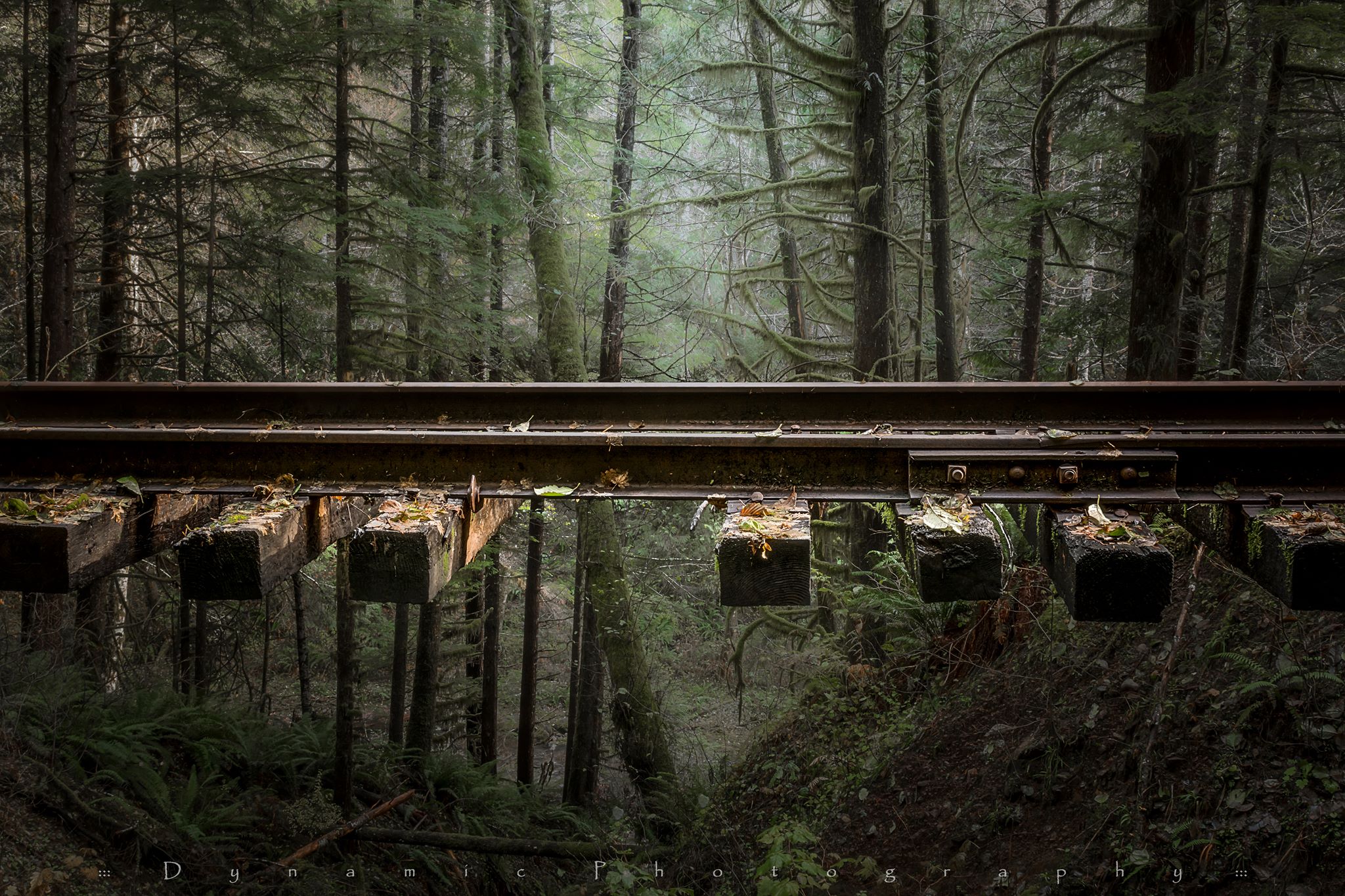 salmonberry trail