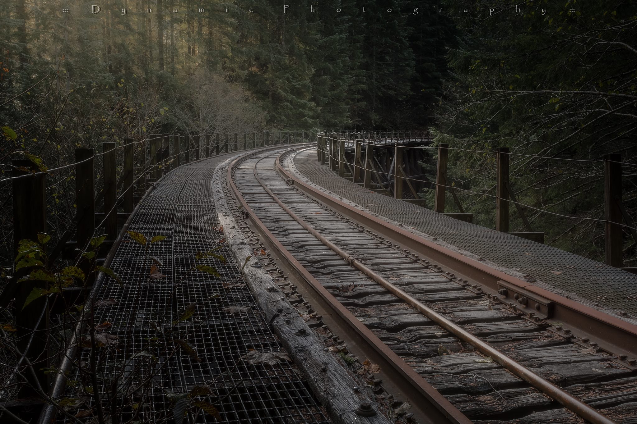 salmonberry trail