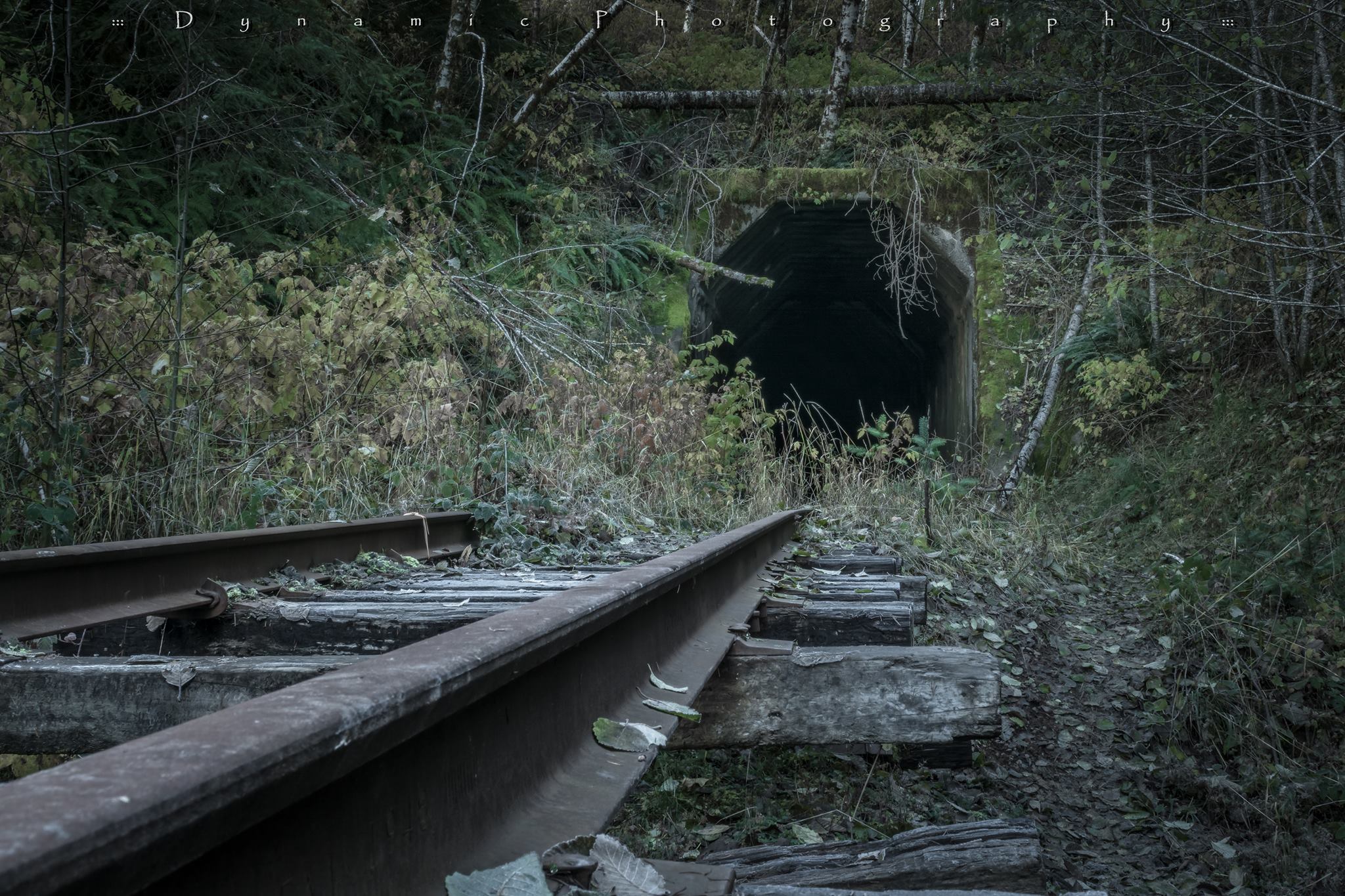 salmonberry trail