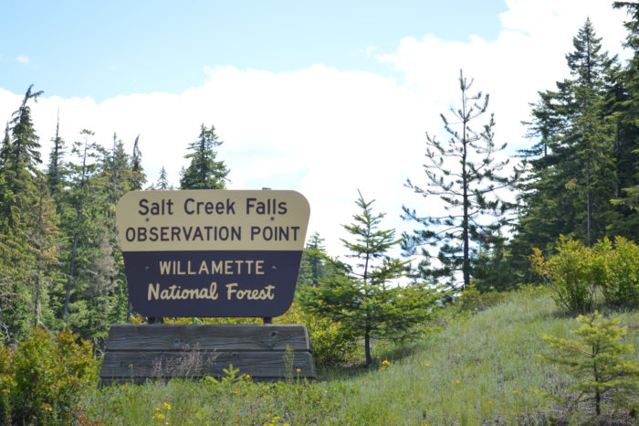 salt creek falls