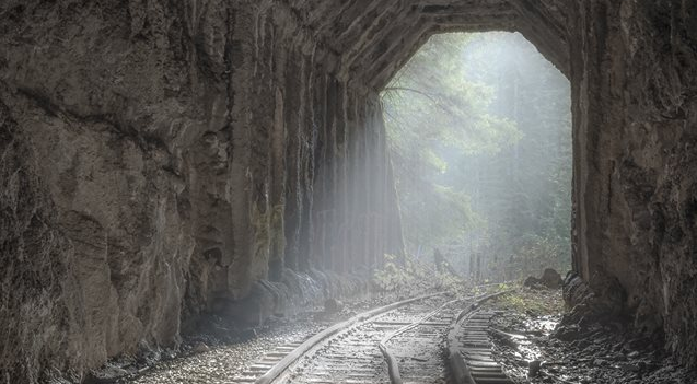 salmonberry trail