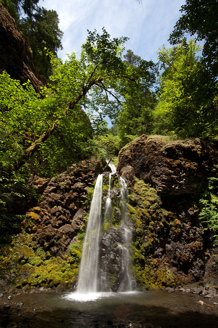 Falls Creek Falls Douglas County Oregon. Copyright Stepan Mazurov via Flickr.