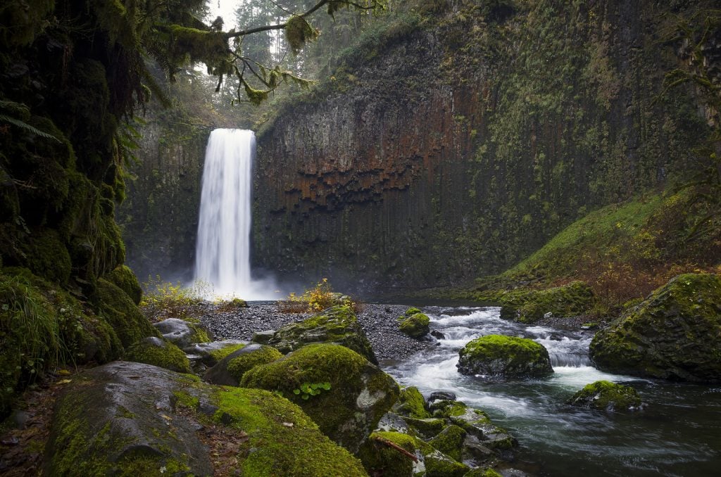 abiqua falls, scotts mills, silverton, oregon, for sale, waterfall being sold, natural landmark, redfin, zach urness, statesman journal, abbey foundation of oregon