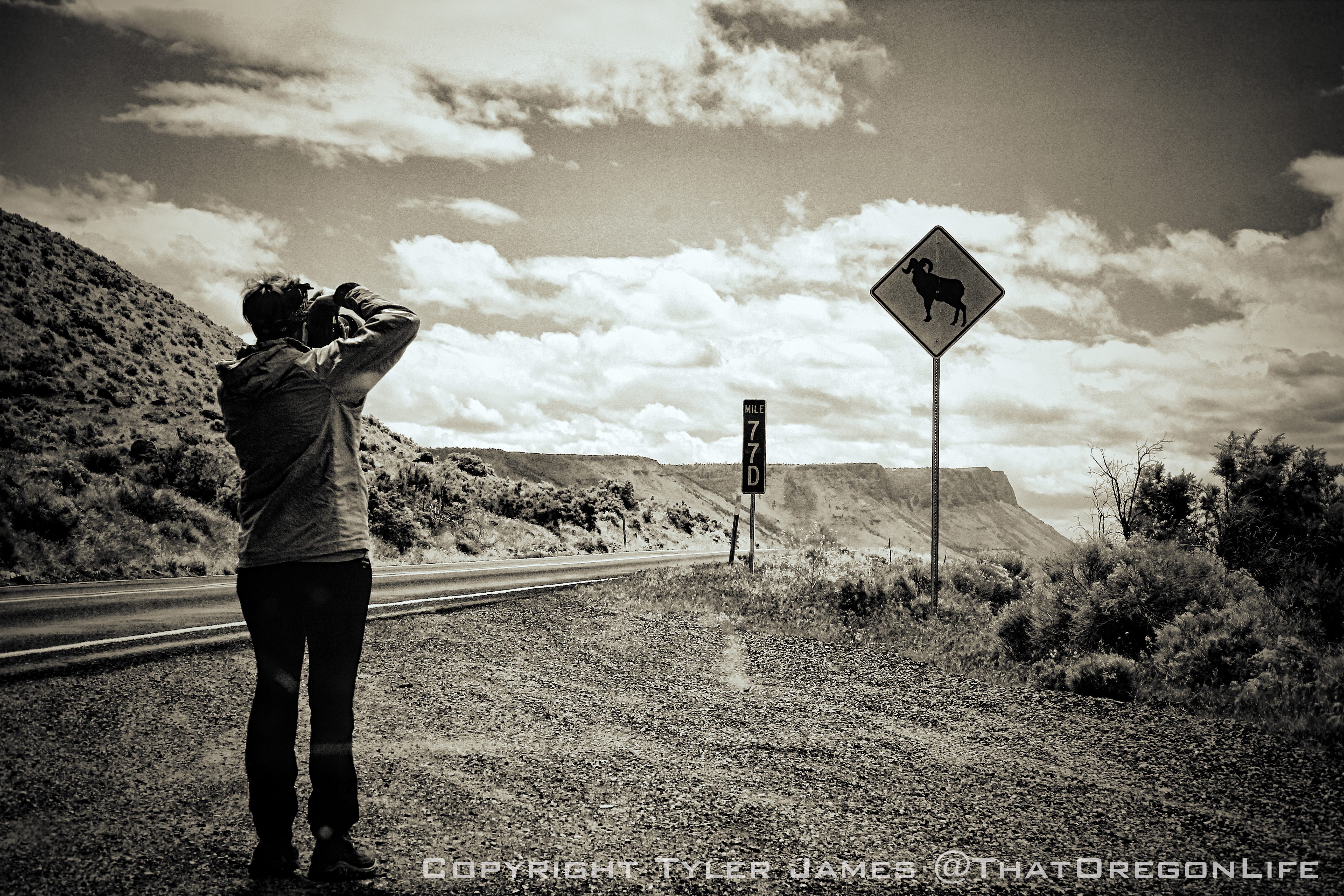 Oregon Road Trip