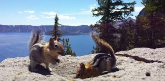 crater lake facts