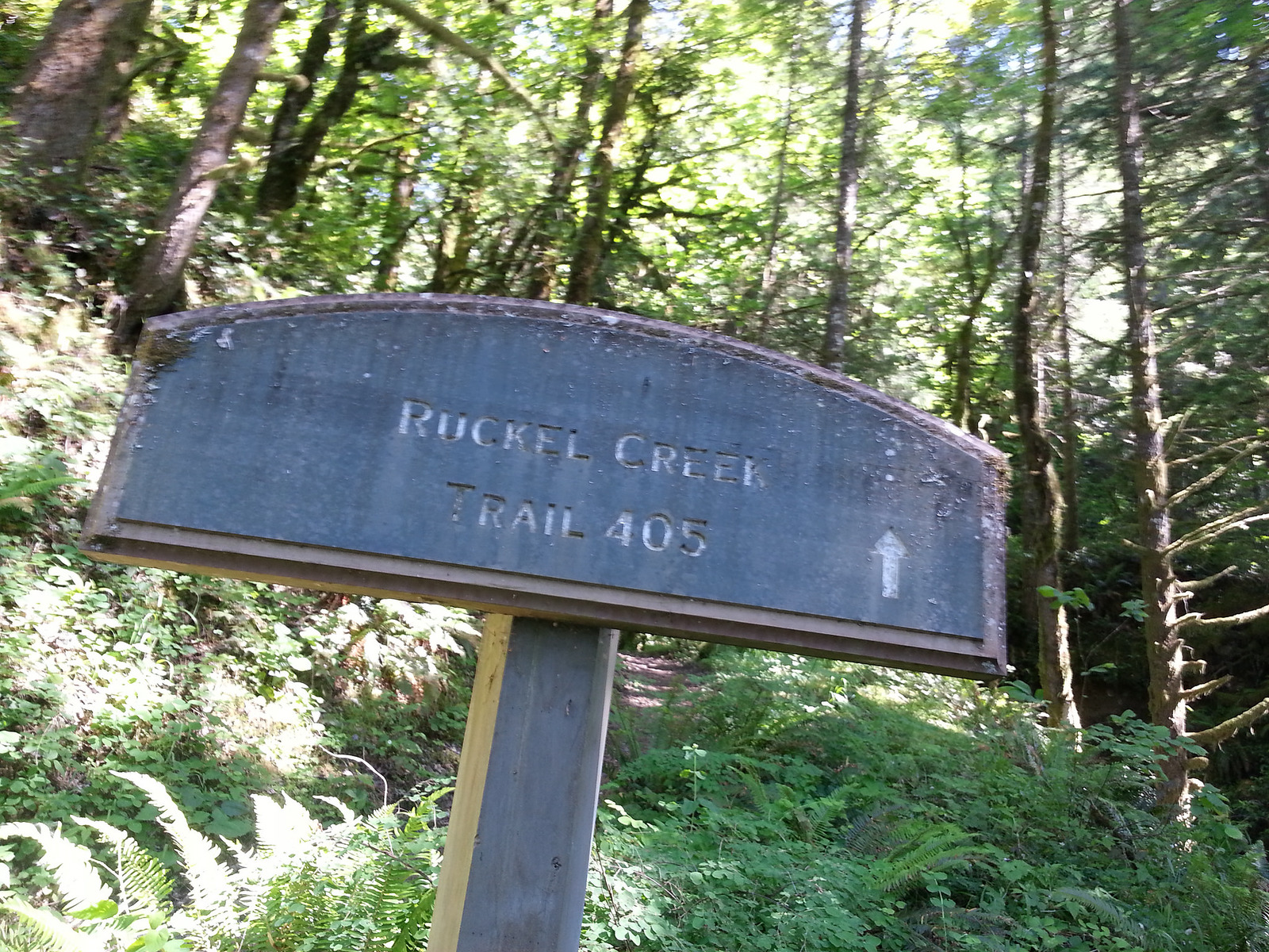 ruckle creek ridge hike