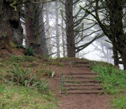 hobbit trail