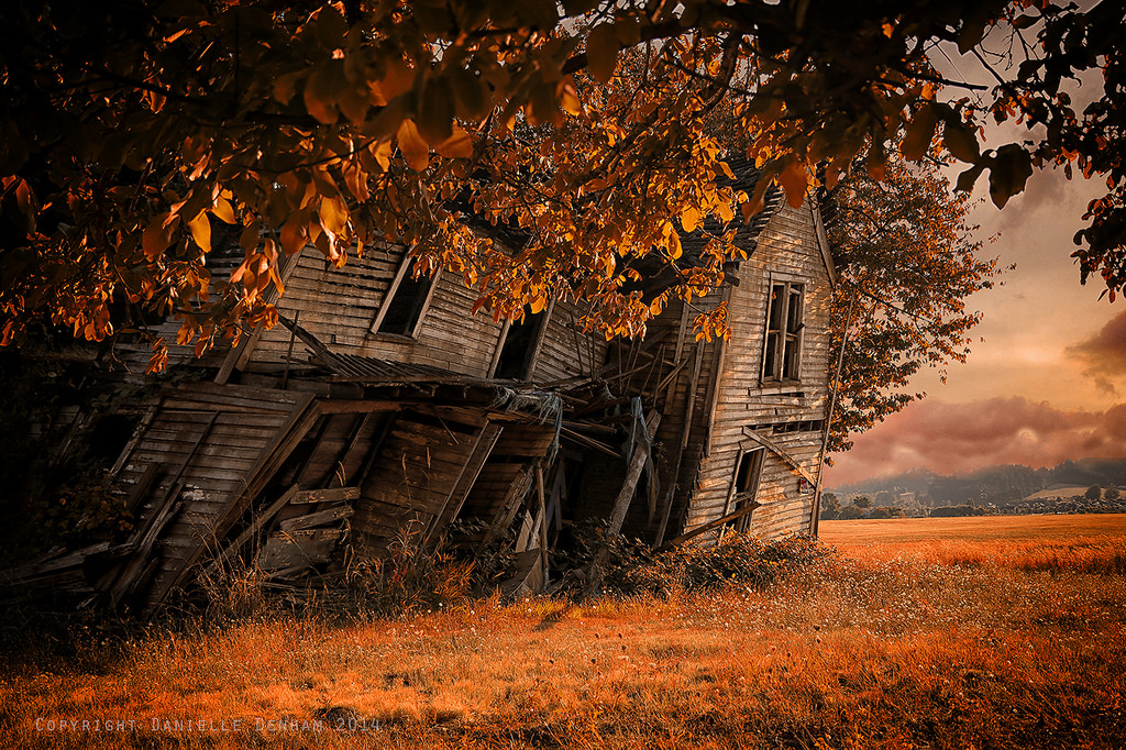 8 Stunning Photos Of Oregon's Fall Foliage