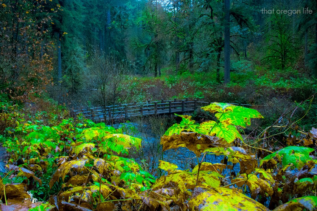 silver falls state park