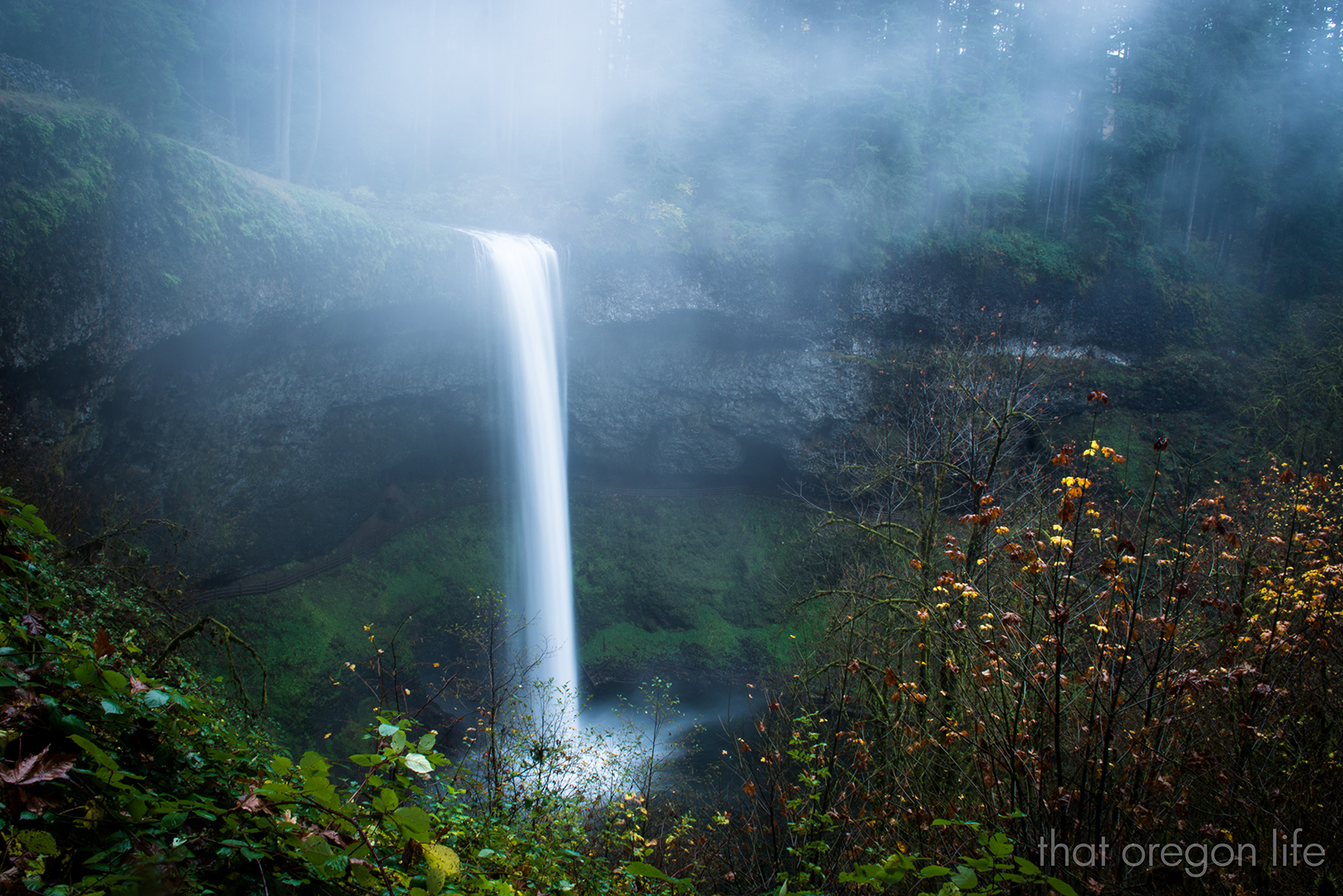 silver falls state park