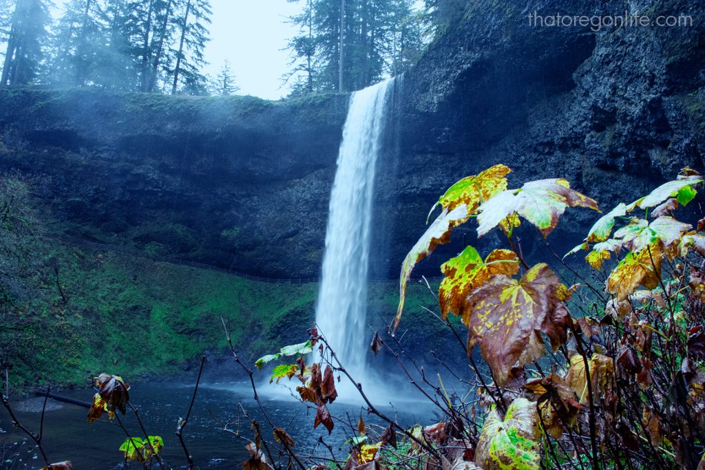 Silver Falls State Park: melhores trilhas curtas