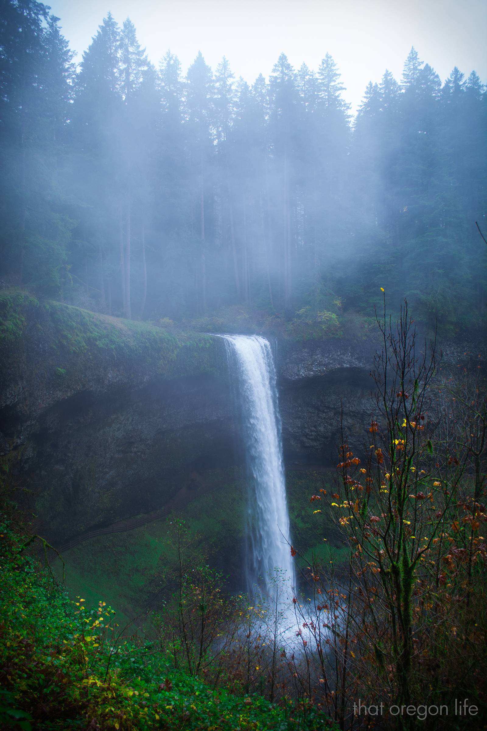 silver falls state park