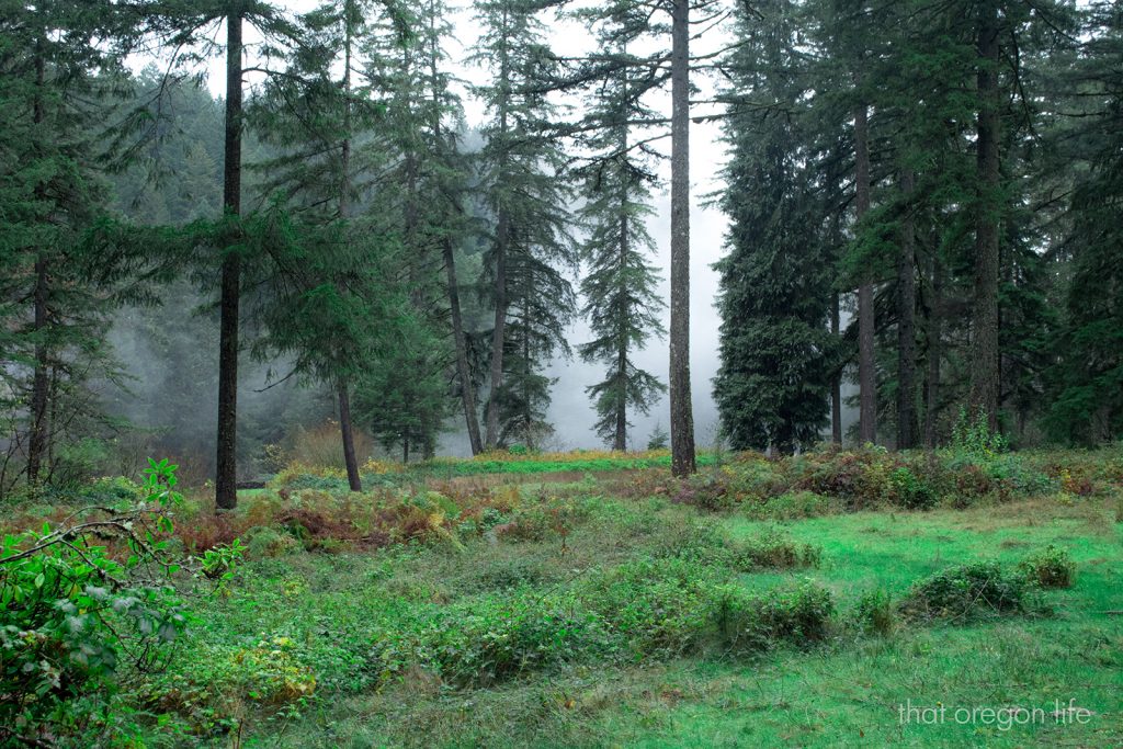 silver falls state park