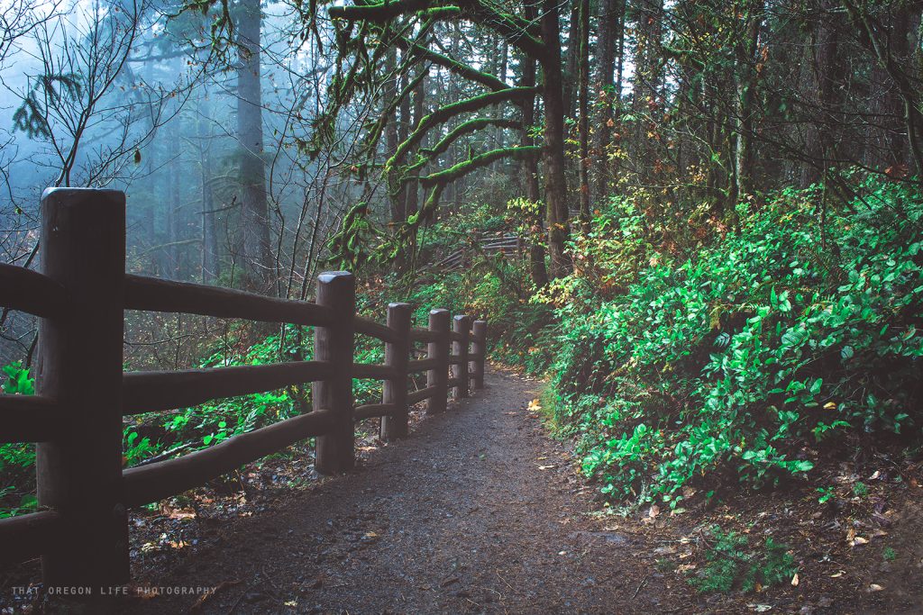 silver falls state park