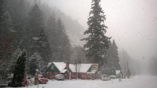 Not Many People in Oregon Know This Christmas Store Exists